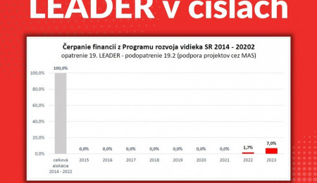 LEADER, ZODPOVEDNOSŤ VLÁD A RIEŠENIE SKUTOČNÝCH PROBLÉMOV
